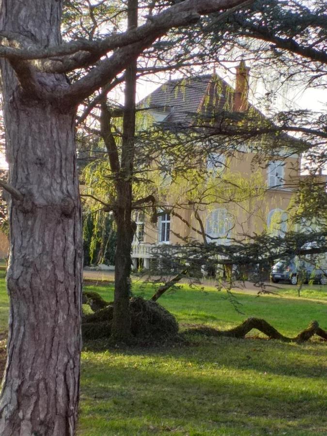 Domaine Berenguer *