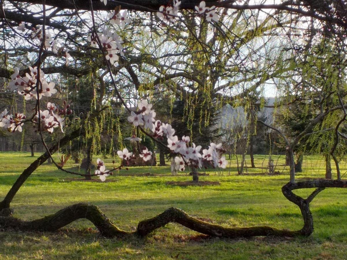 Domaine Berenguer *